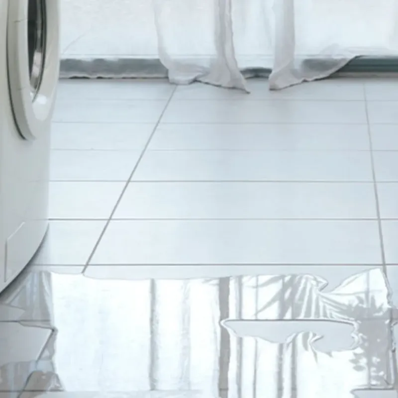 Appliance Leak Cleanup in Lincoln, IL