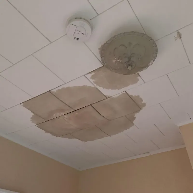 Ceiling Water Damage Repair in Lincoln, IL