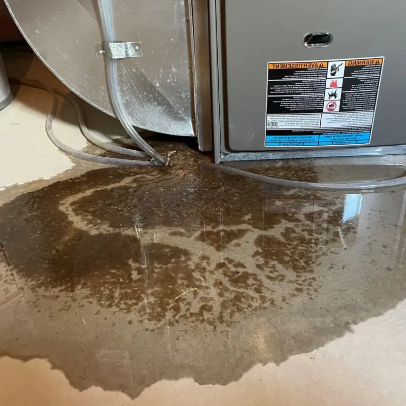 Pipe Burst and Leak Restoration in Lincoln, IL