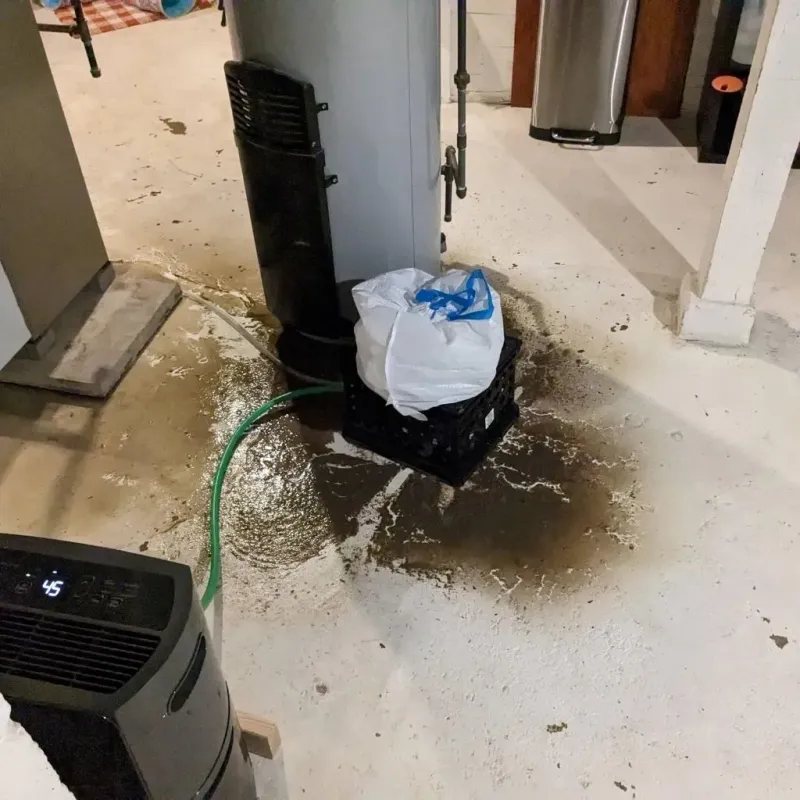 Sewage Backup Cleanup Service in Lincoln, IL